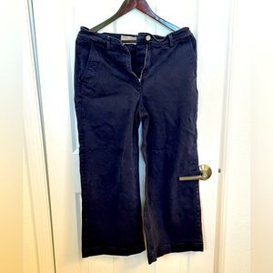 Everlane navy cotton twill pants